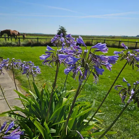 Holiday home Haus Wiesenblick *